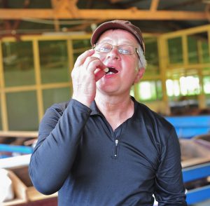 Richard enjoying a fresh Brazil nut. 