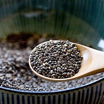 chia-seeds-in-a-bow-sq