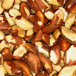 Brazil_nuts-sq